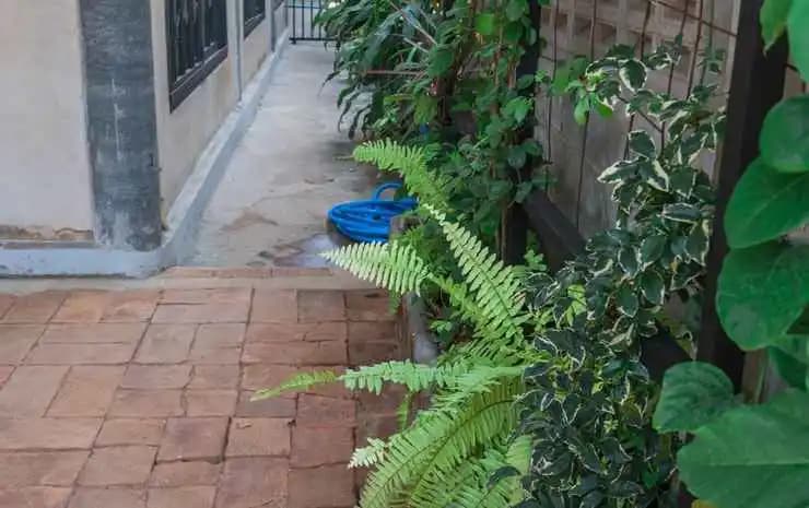 Punjum2 House - photo 2