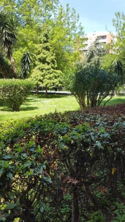 Stanza sempre verde - photo 4