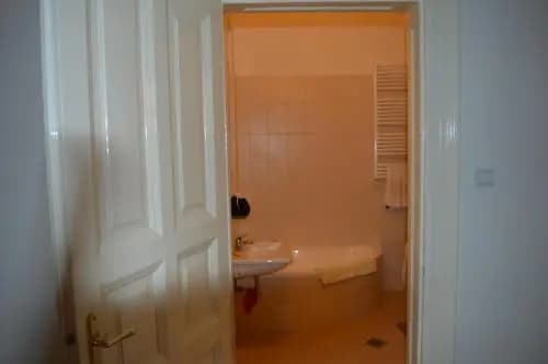 Flower Apartment - photo 9