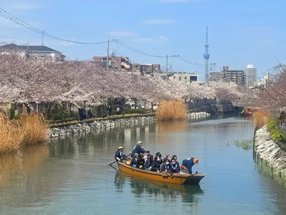 Nakakasai Kodate - photo 32