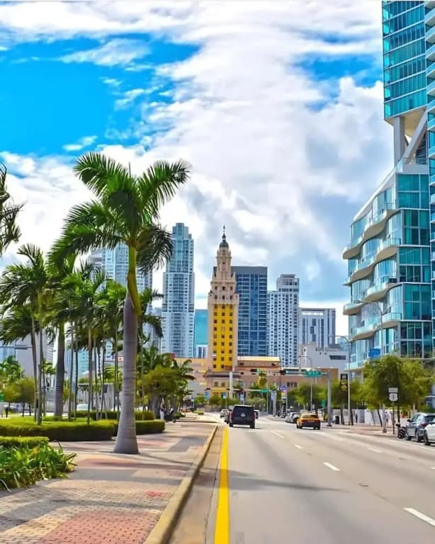 Your Miami Base With Free Parking - photo 23