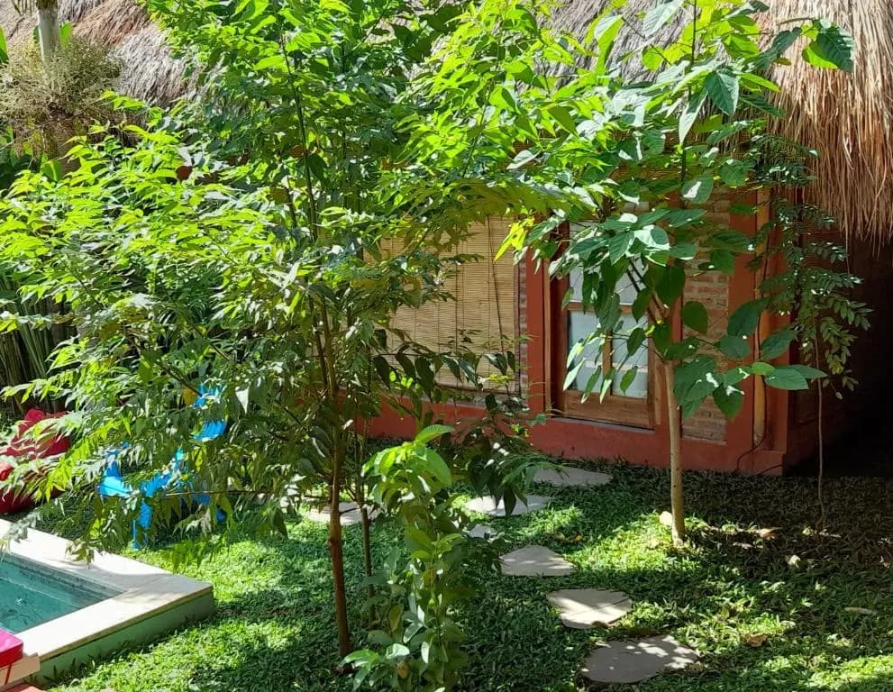 Balicabana Bungalows - photo 8