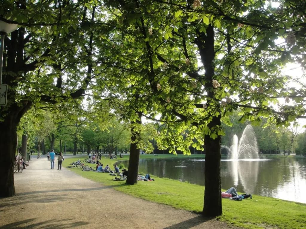 Conscious Hotel Vondelpark - photo 19
