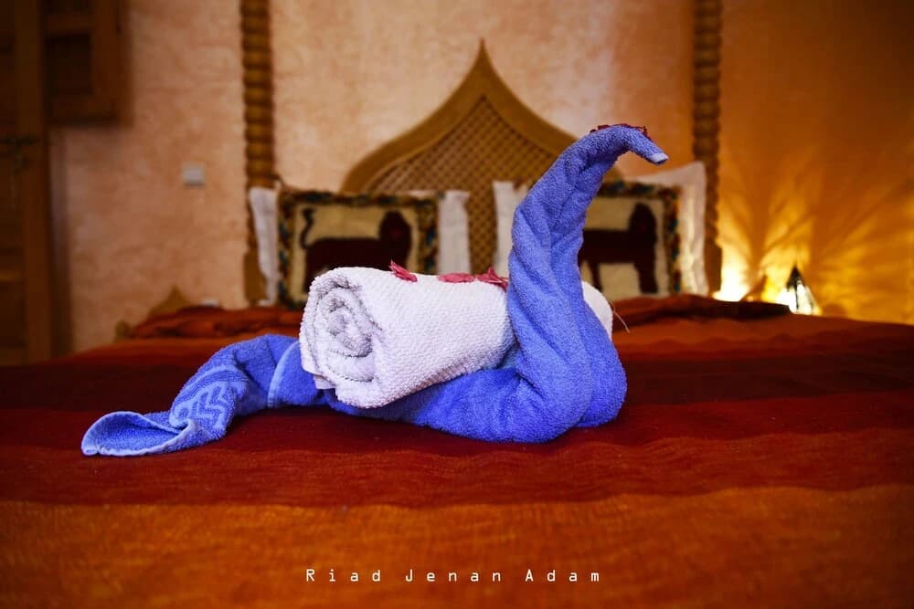 Riad Snan13 - photo 6