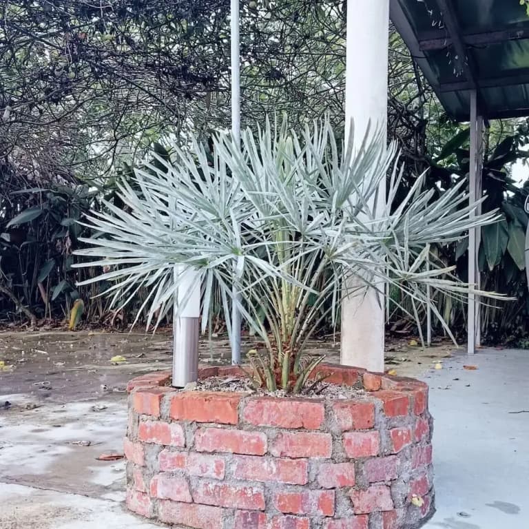 Villa 223 - photo 32