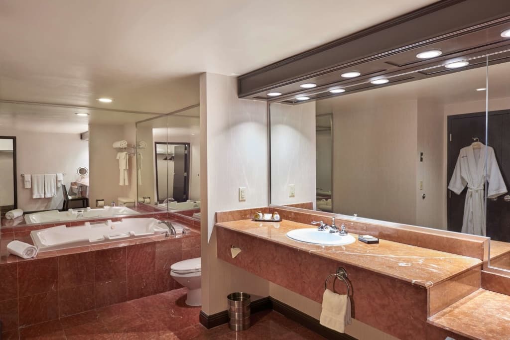 Treasure Island - TI Las Vegas Hotel & Casino - photo 10