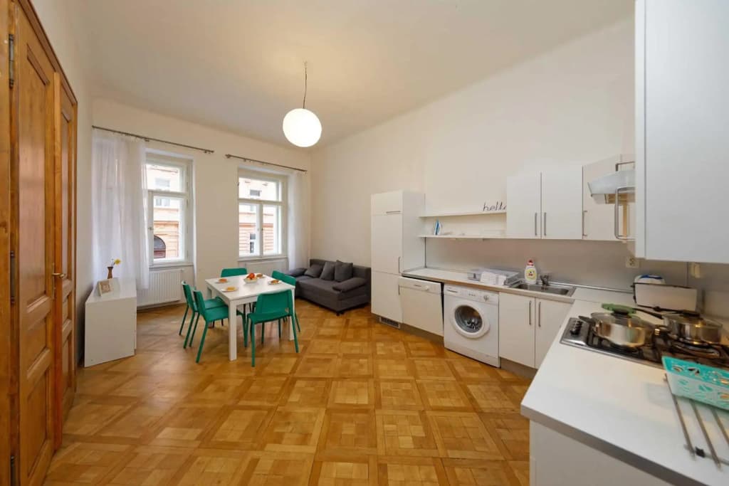 Apartment Manesova 4 - photo 10