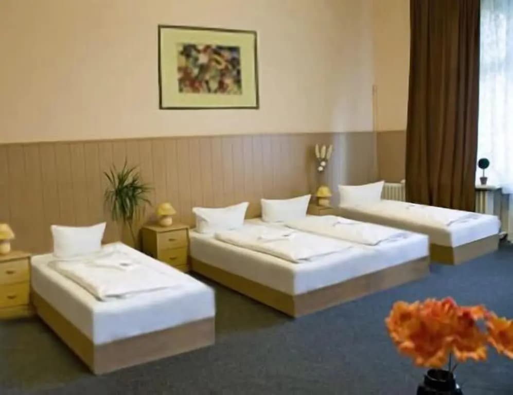 Hotel Pension Rheingold - photo 6
