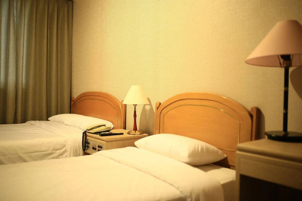Brown Hotel Seoul - photo 7