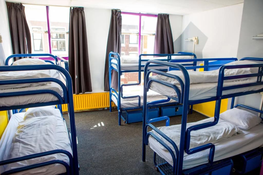 The Flying Pig Downtown Youth Hostel - photo 3