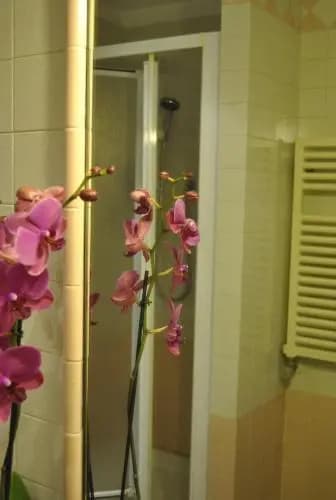 Un Posto a Roma - photo 9