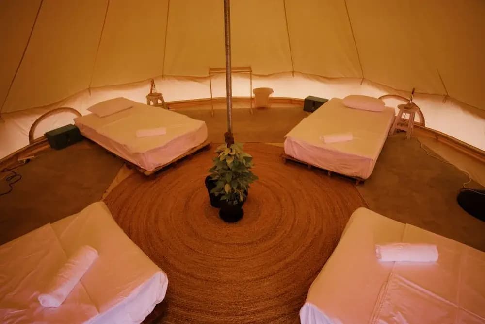 Roost Glamping - photo 3