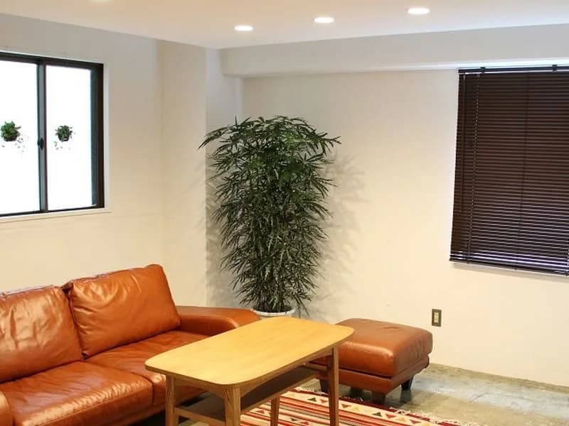 Minato Hotel - photo 11