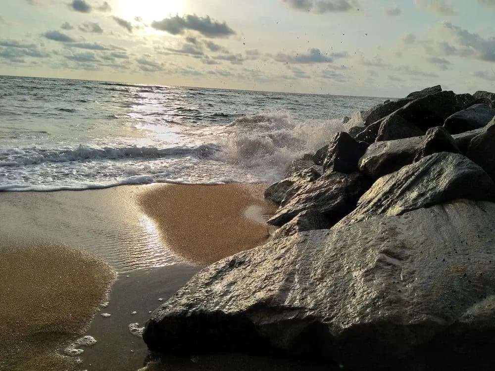Hotel Nelly Marine - photo 12