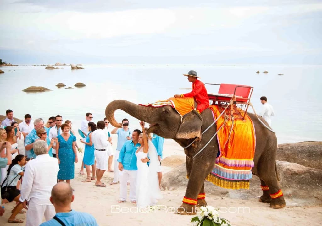 Beach Republic, Koh Samui - photo 35