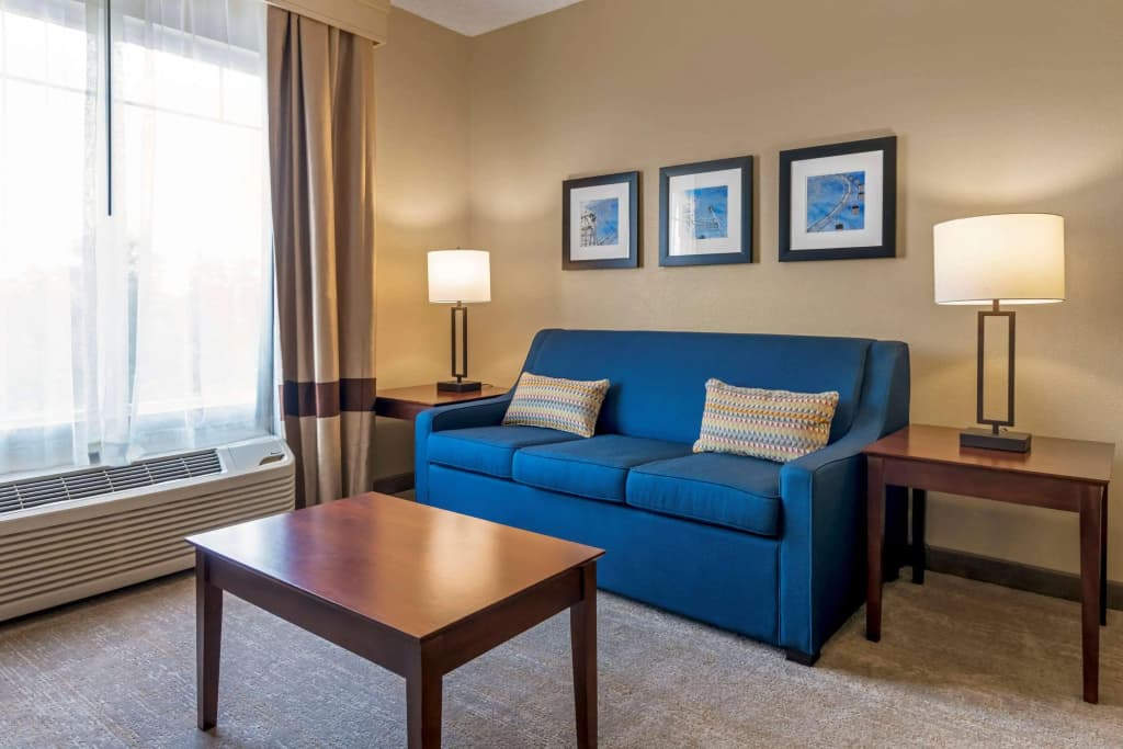 Comfort Suites Near Universal Orlando Resort - photo 6