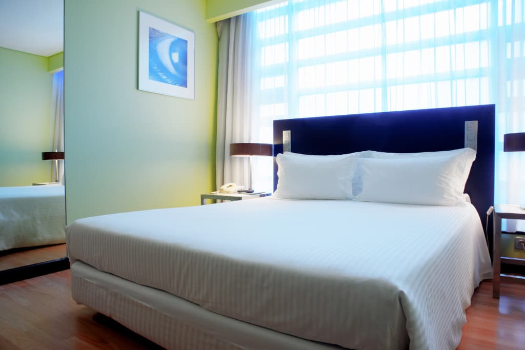 SANA Capitol Hotel - photo 28