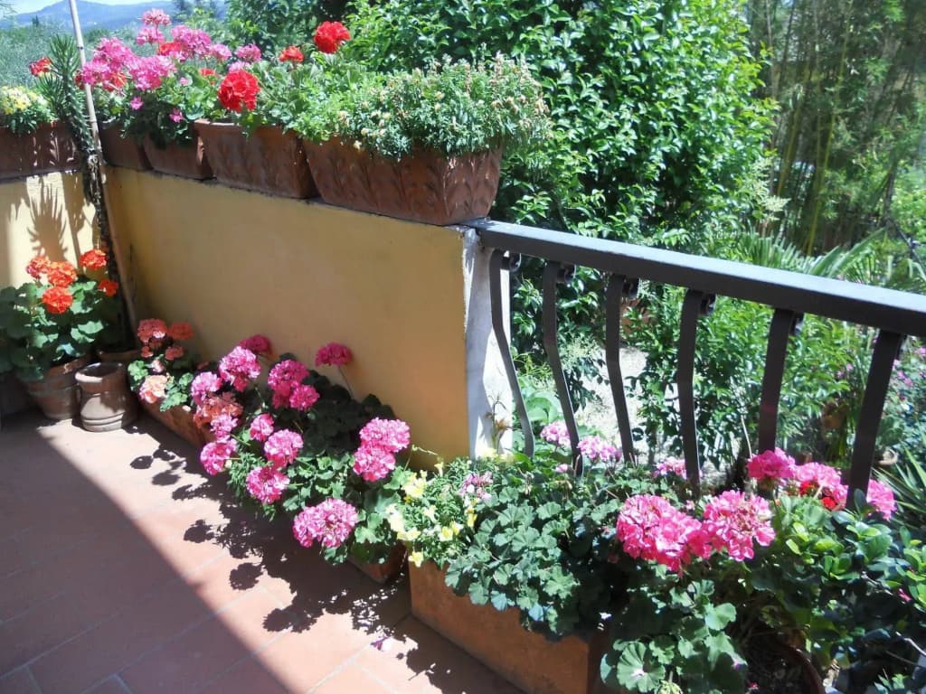 Agriturismo Le Macine - photo 7