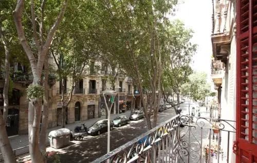 Alcam Borrell Big - photo 12