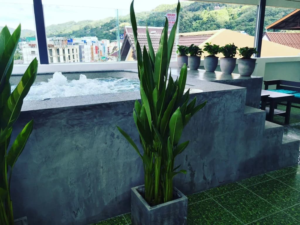 Colora Hotel Phuket - photo 15