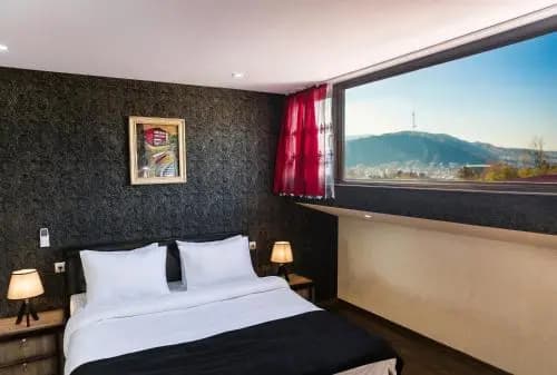 Amir Hotel - photo 4