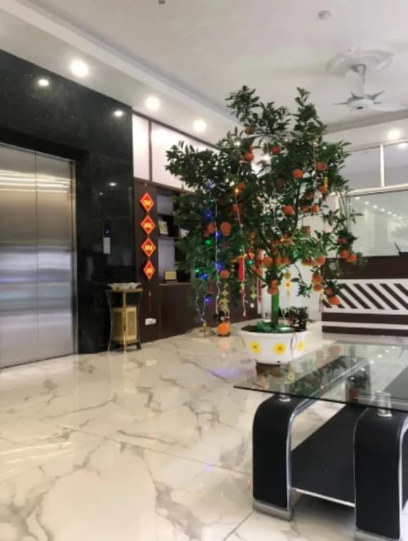 Thang Long Guesthouse - photo 5