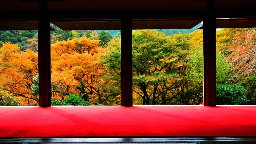 Kyoto Horikawa Inn - photo 8