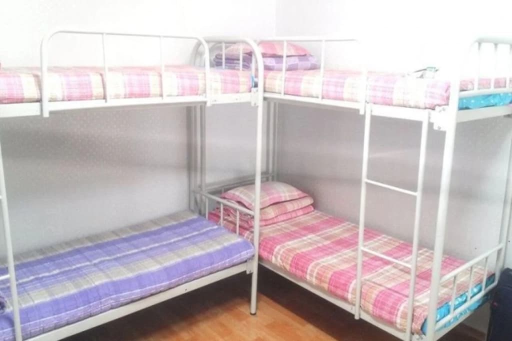 Alpha Guesthouse - photo 3