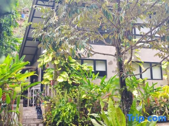 Penang Balik Pulau Daze in Nature Guest House 123 - photo 2