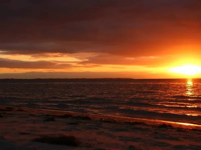 Capel Sound Escapes - photo 4