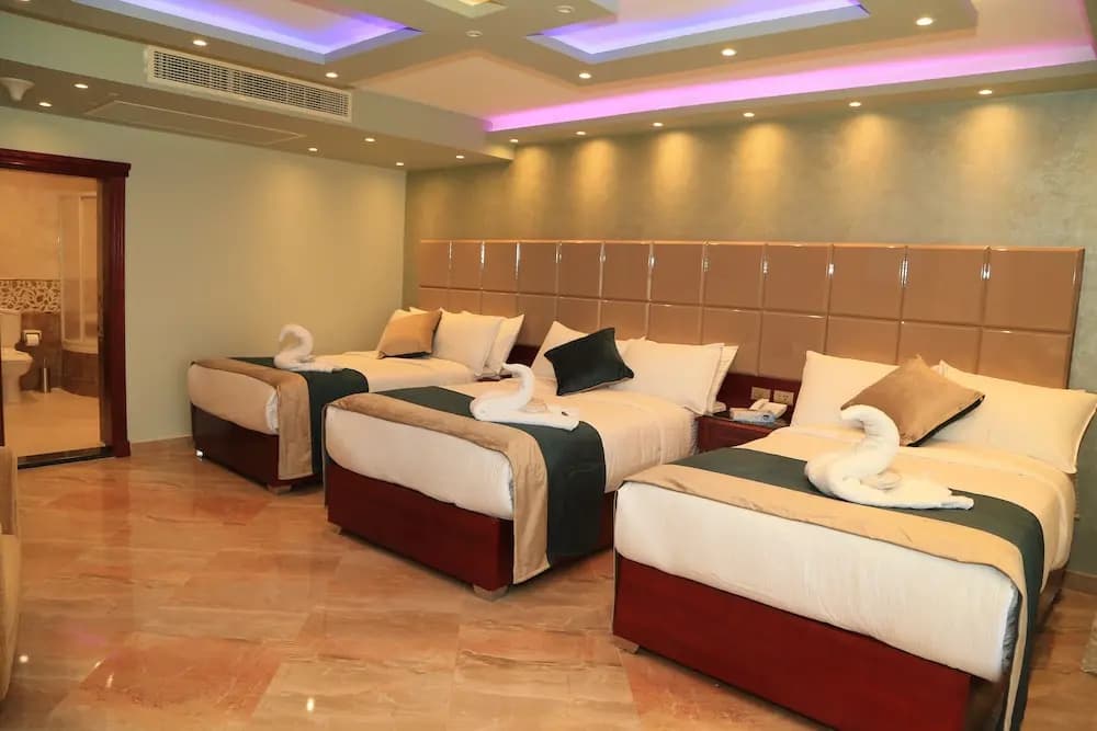 Helnan Nile Island Hotel - photo 4