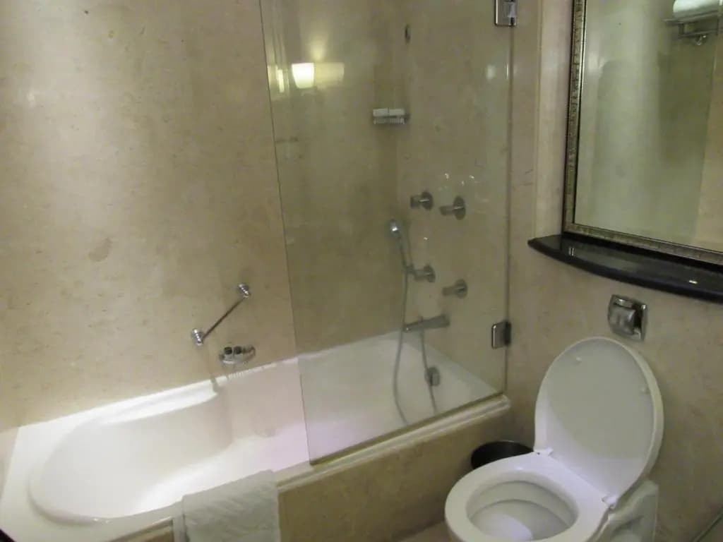 Eros Hotel New Delhi by IHG - photo 10