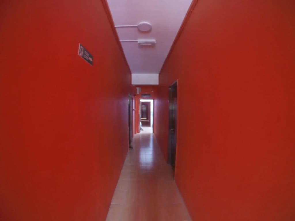 Fat Rhino Hostel - photo 11