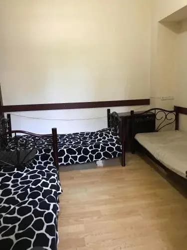 Hostel Green - photo 3
