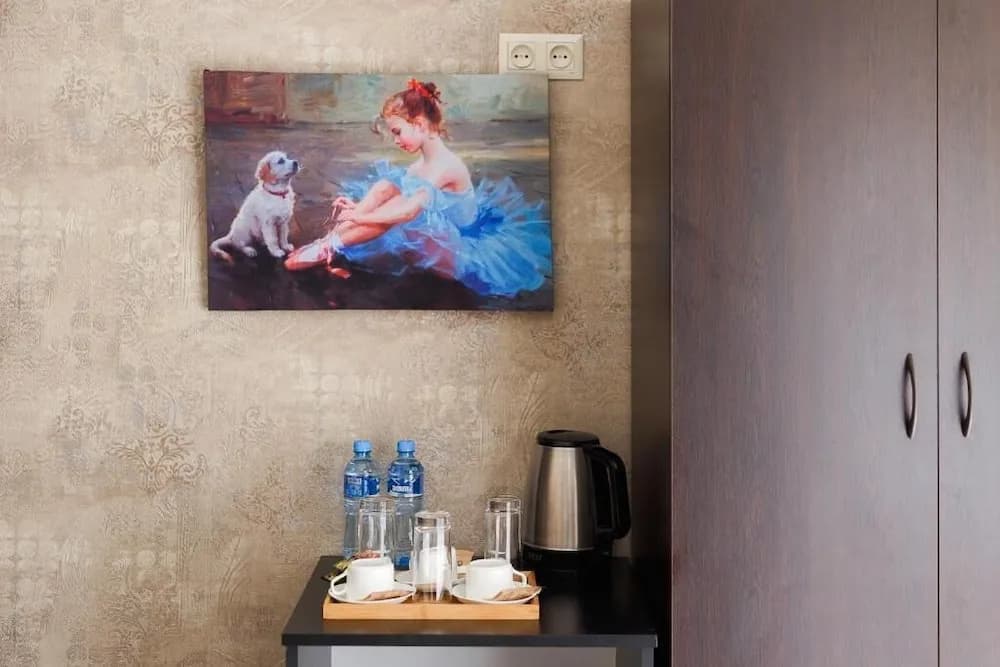 Aura Plaza Hotel - photo 17