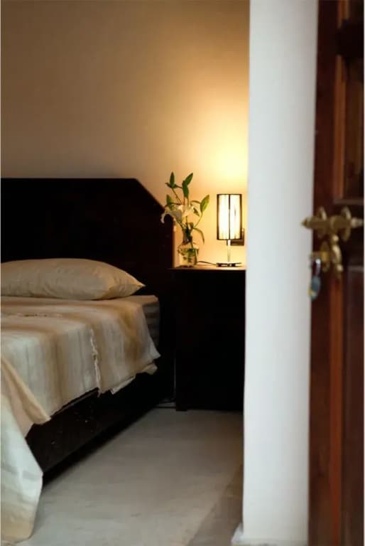 Riad Sorour - photo 7
