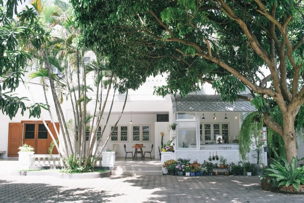 Double Tree House - photo 11