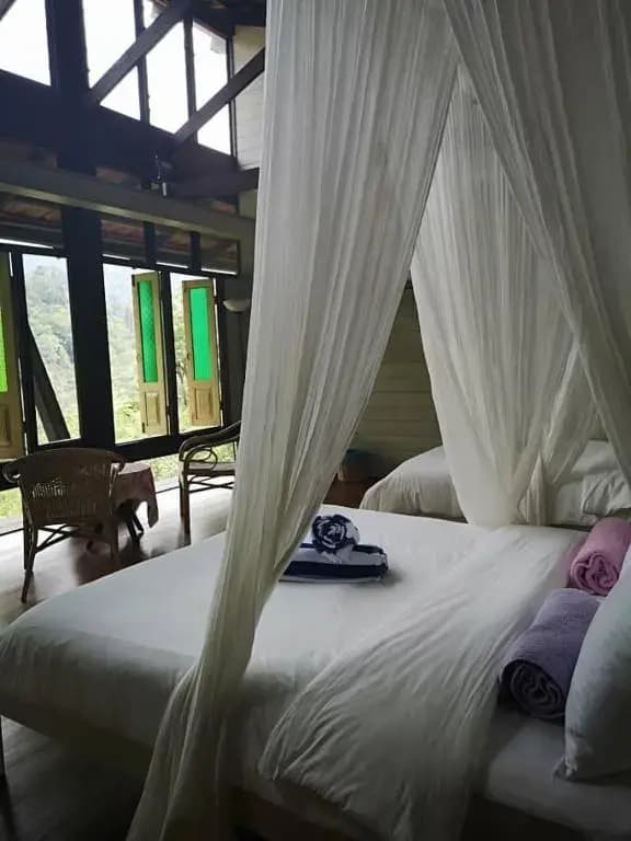 Langit Rimba Resort - photo 8