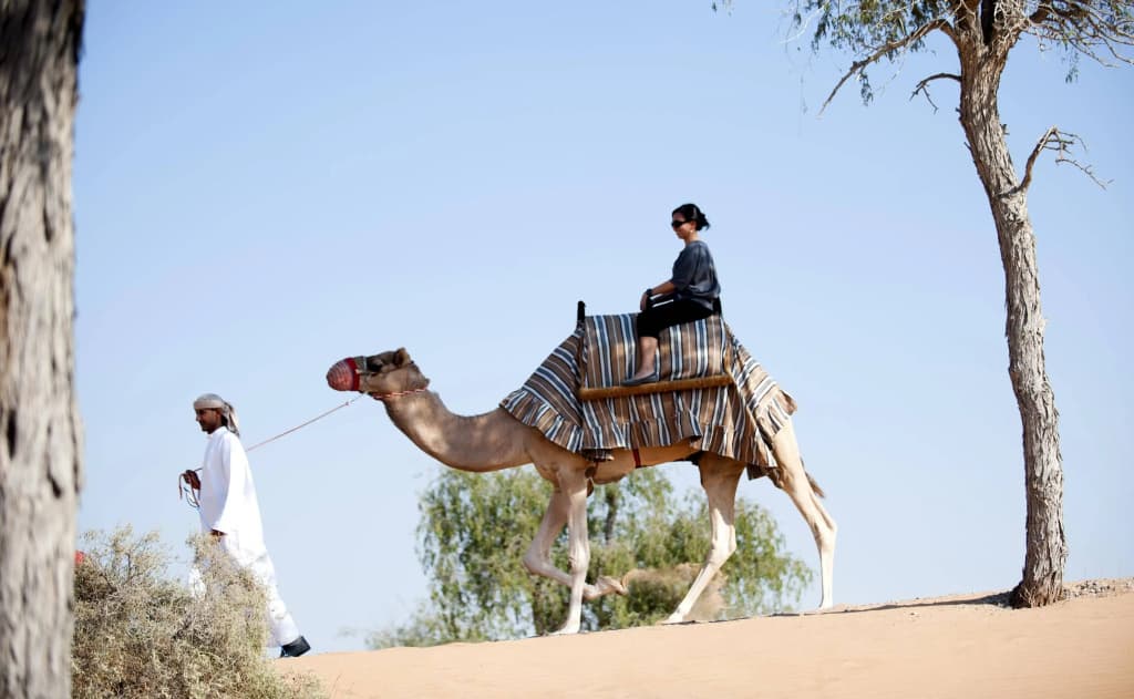 The Ritz-Carlton Ras Al Khaimah, Al Wadi Desert - photo 28
