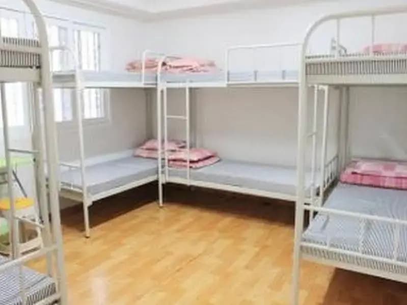 Hostel Alpha - photo 3