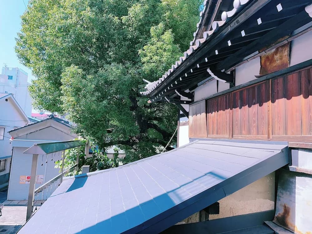 Shinkou House UE - photo 49