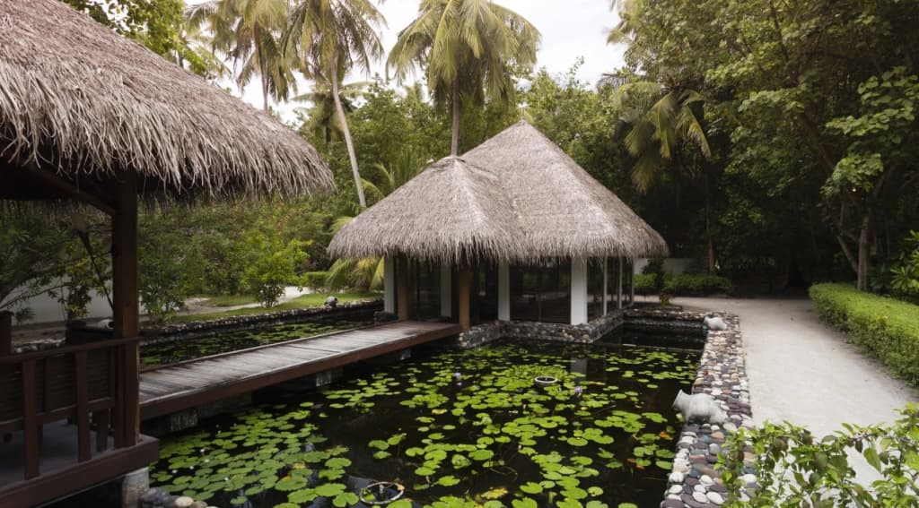 Filitheyo Island Resort - photo 11