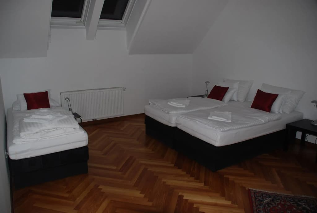 Duschel Apartments City Center - photo 7