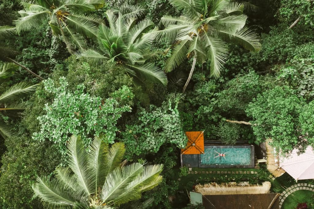 Bembengan Ubud Cottages - photo 17