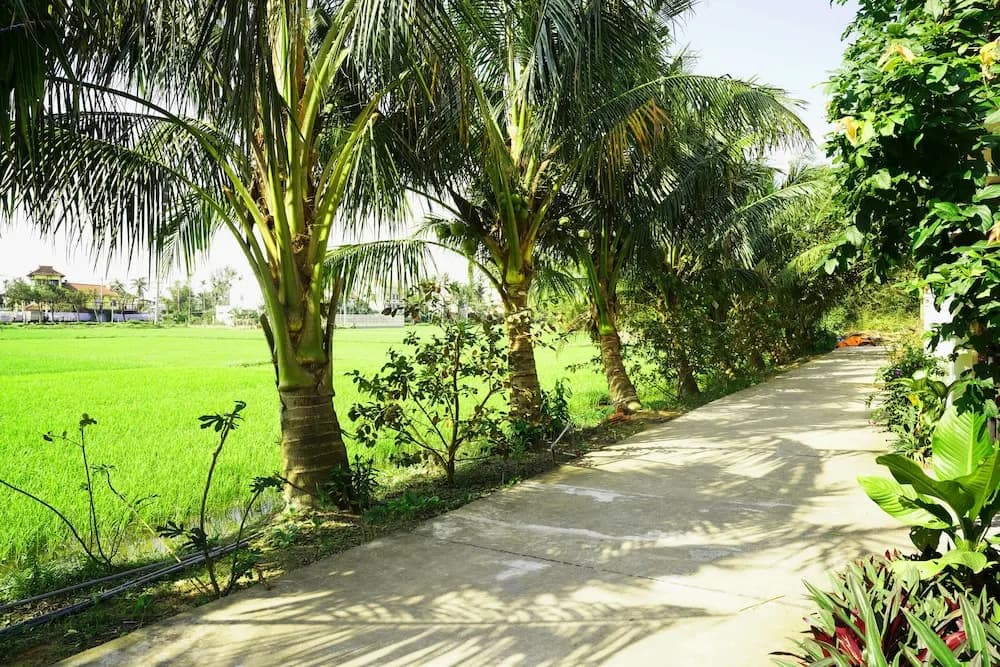Hoang Y Homestay - photo 16
