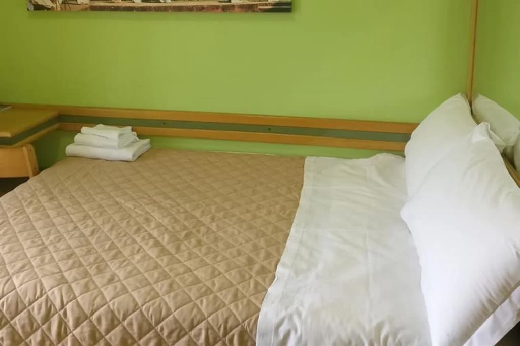 Hotel Pavia - photo 6
