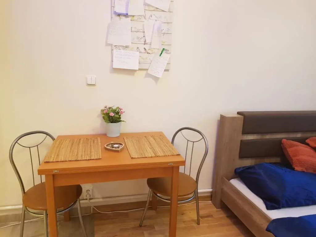 Get Prague Flat Slovenska - photo 4