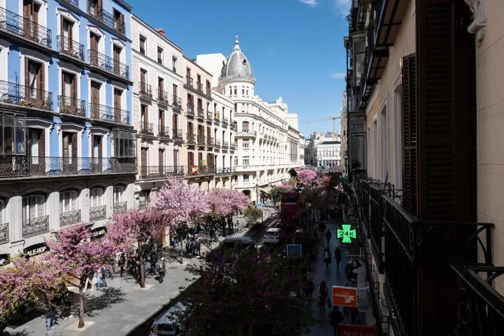Heima Plaza Mayor- Puerta del Sol - main photo