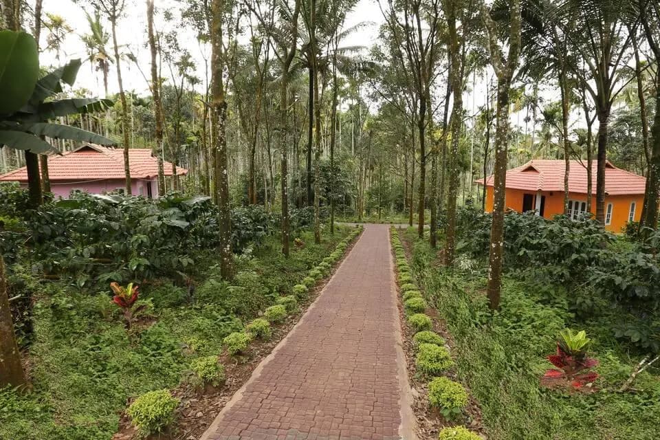 Himadri Retreat Cottages - photo 3