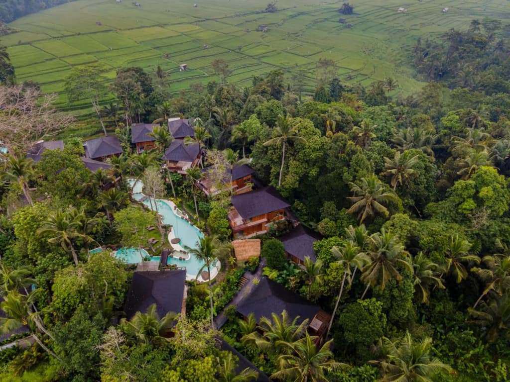 Kappa Senses Ubud Hotel - photo 26